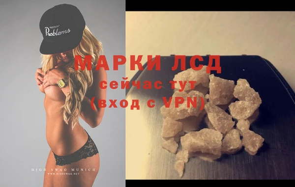 индика Баксан