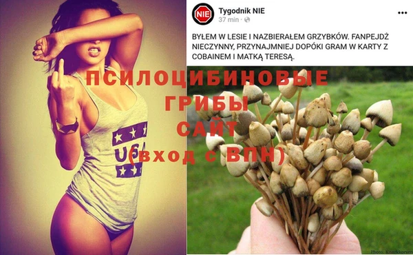 синтетический гашиш Балабаново