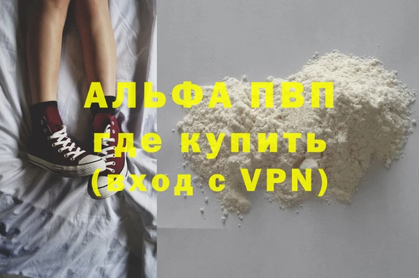 индика Баксан