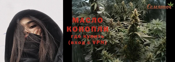 индика Баксан