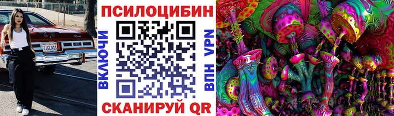 Галлюциногенные грибы мицелий  Коммунар 